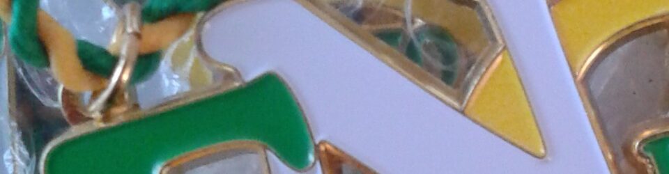 Hall die Gail, Fastnachtsorden für mobflo und die Main-Taunus-Scouts!